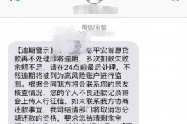 海南海南的要账公司在催收过程中的策略和技巧有哪些？